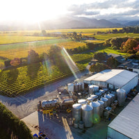 2025 Forrest Pinot Gris