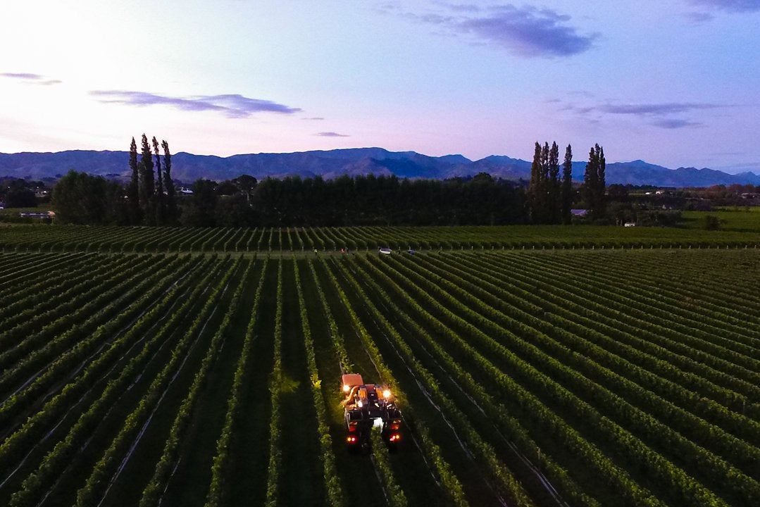 2022 Forrest Chenin Blanc